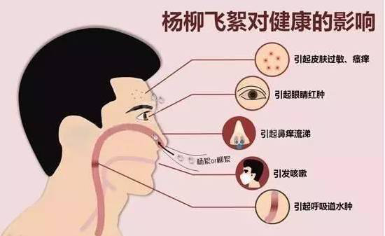 柳絮過敏讓你鼻子發(fā)癢，空氣堡新風(fēng)系統(tǒng)讓你舒爽